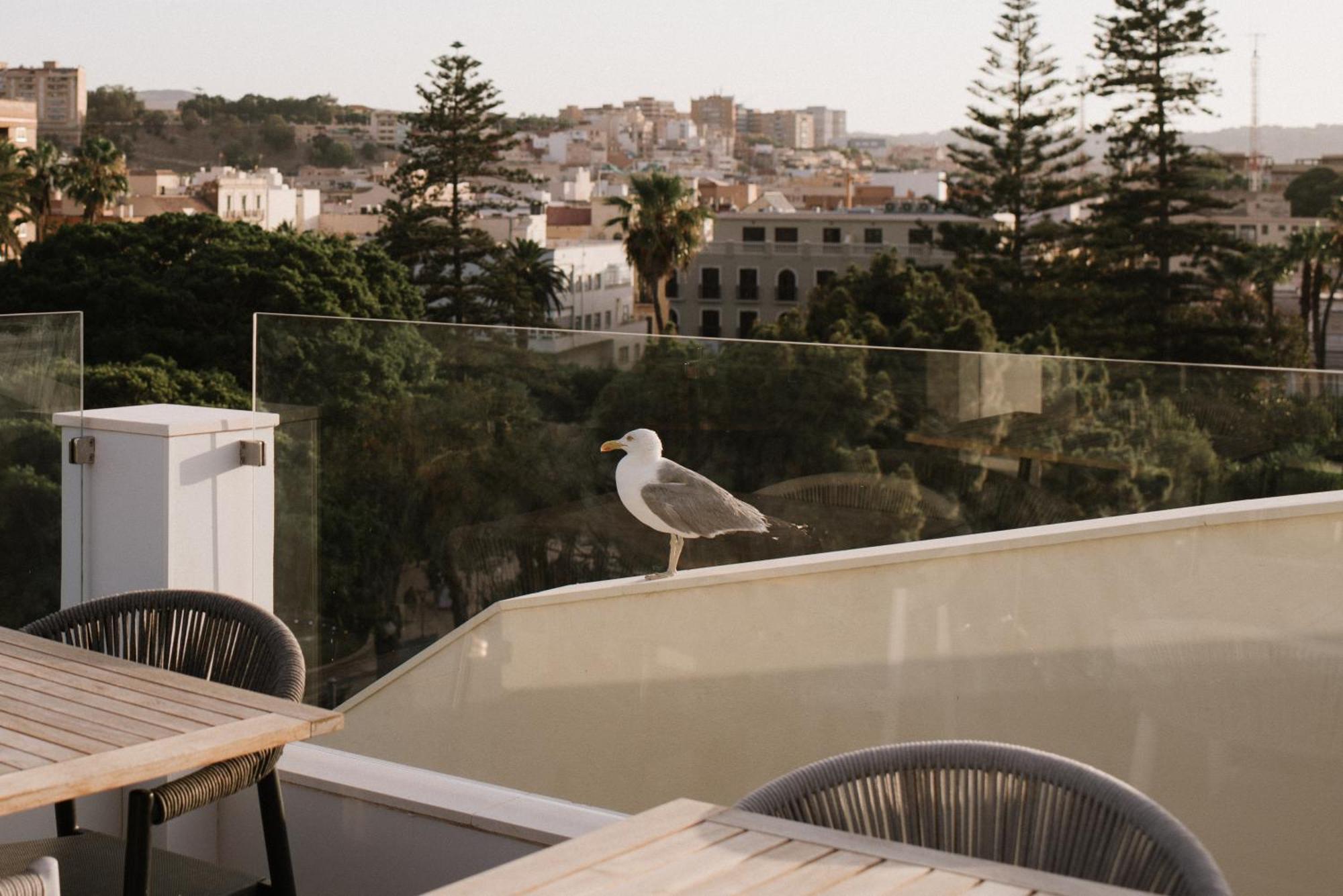 Hotel Melilla Centro Екстериор снимка